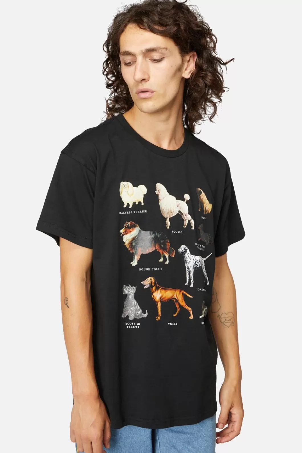 Shirts & Tees<Dangerfield Canine Oversized Cotton Tee