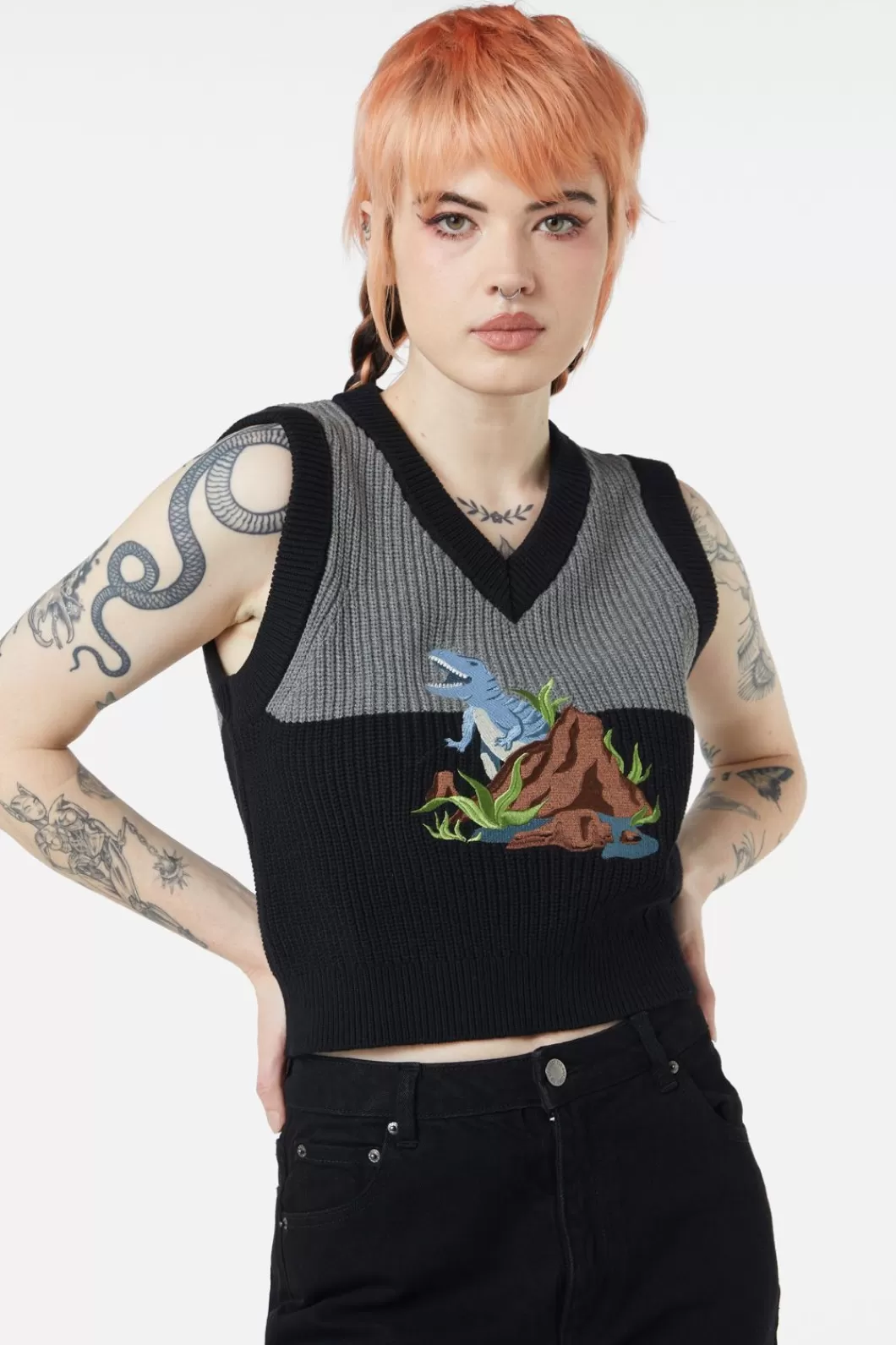 Knitwear & Cardis<Dangerfield Dinosaur Contrast Knit Vest