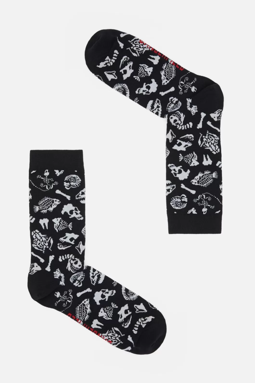 Socks & Tights<Dangerfield Fossils Sock