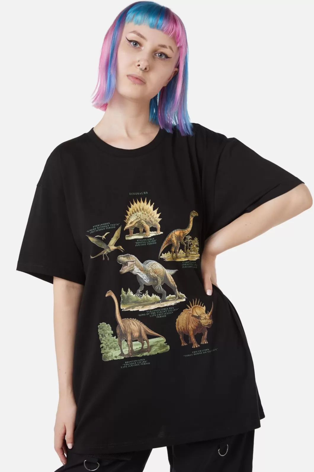 Blouses & Tops<Dangerfield Scientific Dino Tee