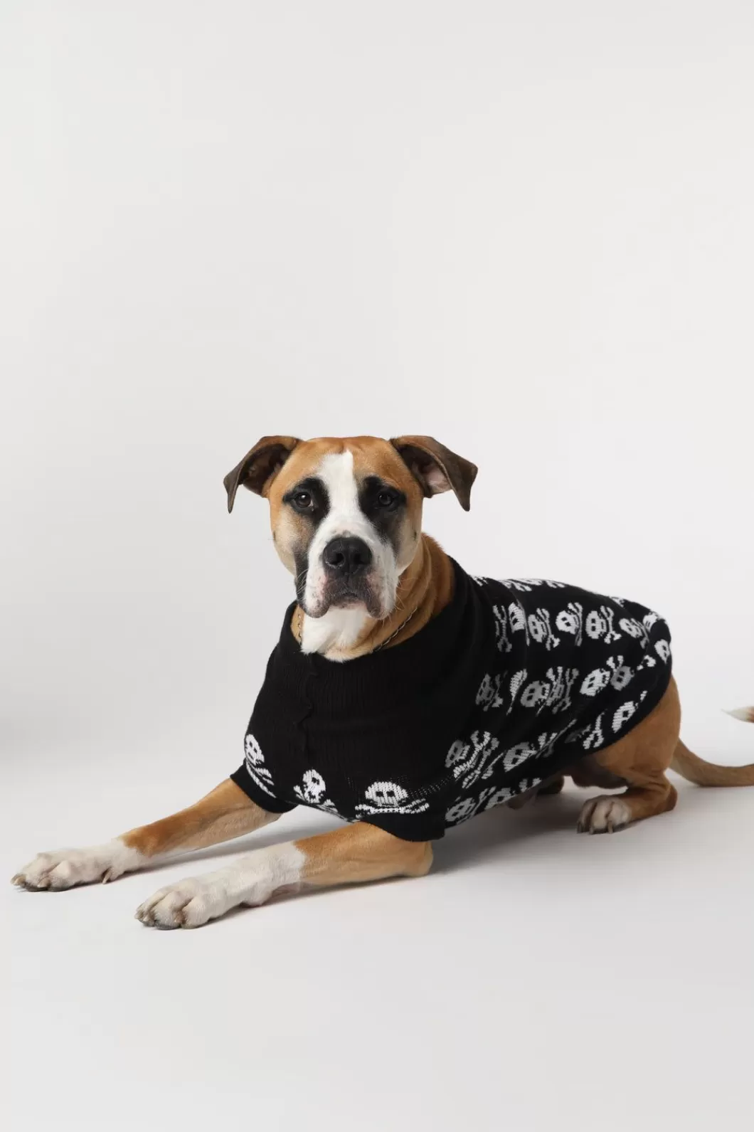 Homewares<Dangerfield Skull Dog Jumper L